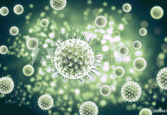 Samolepka flie 145 x 100  3d rendering virus, bacteria, cell, 145 x 100 cm