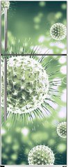 Samolepka na lednici flie 80 x 200, 222938867 - 3d rendering virus, bacteria, cell