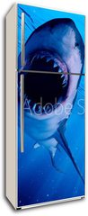 Samolepka na lednici flie 80 x 200, 222972216 - 3d rendered illustration of a great white shark