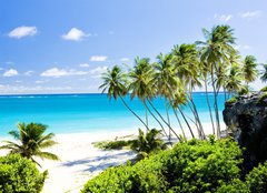Fototapeta pltno 240 x 174, 22365741 - Bottom Bay, Barbados, Caribbean - Doln ztoka, Barbados, Karibik