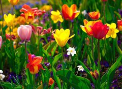 Samolepka flie 100 x 73, 22368524 - Sea of flowers