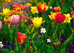 Samolepka flie 200 x 144, 22368524 - Sea of flowers