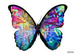 Samolepka flie 100 x 73, 223701379 - multicolored butterfly isolated on white background - vcebarevn motl izolovanch na blm pozad