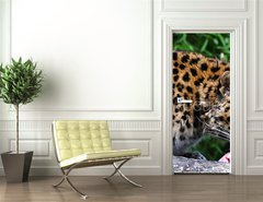 Samolepka na dvee flie 90 x 220  Amur Leopard eating meat, 90 x 220 cm