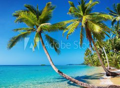 Samolepka flie 100 x 73  Tropical beach, Thailand, 100 x 73 cm