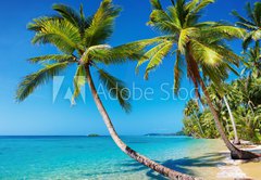Samolepka flie 145 x 100, 22403975 - Tropical beach, Thailand - Tropick ple, Thajsko