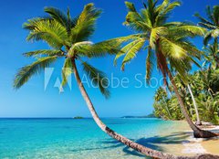 Fototapeta pltno 240 x 174, 22403975 - Tropical beach, Thailand - Tropick ple, Thajsko