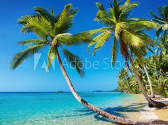 Samolepka flie 270 x 200, 22403975 - Tropical beach, Thailand - Tropick ple, Thajsko
