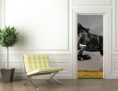 Samolepka na dvee flie 90 x 220, 22600957 - black friesian stallion gallop in sunset - ern frsk hebec cval v zpadu slunce