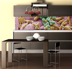Fototapeta do kuchyn flie 260 x 60  Bacteria found on dishcloth, SEM, 260 x 60 cm