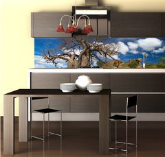 Fototapeta do kuchyn flie 260 x 60  Baobab tree landscape, 260 x 60 cm