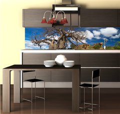 Fototapeta do kuchyně fólie 260 x 60, 22653403 - Baobab tree landscape - Baobab stromová krajina