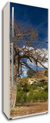 Samolepka na lednici flie 80 x 200, 22653403 - Baobab tree landscape