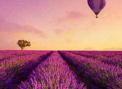 Samolepka flie 100 x 73, 226739623 - Lavender field rows at sunrise and hot air baloon France Provence - Levandulov pole ady pi vchodu slunce a horkovzdun baln Francie Provence