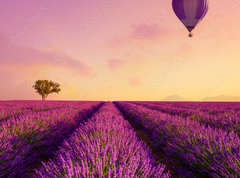 Samolepka flie 270 x 200, 226739623 - Lavender field rows at sunrise and hot air baloon France Provence