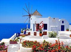 Fototapeta vliesov 100 x 73, 22813395 - Windmill on Santorini island, Greece