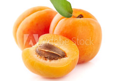 Samolepka flie 145 x 100, 228967502 - Fresh apricot fruit in closeup