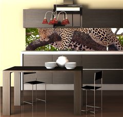 Fototapeta do kuchyn flie 260 x 60, 23087097 - Leopard sleeping on the tree