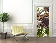 Samolepka na dvee flie 90 x 220  Leopard sleeping on the tree, 90 x 220 cm