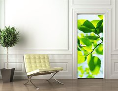 Samolepka na dvee flie 90 x 220  Green leaves with sun ray, 90 x 220 cm