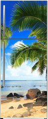 Samolepka na lednici flie 80 x 200, 231731646 - Palm trees in Kauai Hawaii in the morning