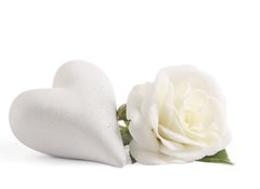 Samolepka flie 100 x 73, 23183533 - White rose with heart - Bl re se srdcem