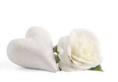 Fototapeta184 x 128  White rose with heart, 184 x 128 cm