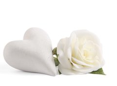 Fototapeta330 x 244  White rose with heart, 330 x 244 cm