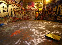 Samolepka flie 100 x 73  graffiti wide angle with paint roller, 100 x 73 cm