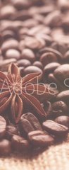 Samolepka na dvee flie 90 x 220, 232714184 - Aromatic roasted coffee beans and anis or badian, sticks of natural cinnamon on  background close up
