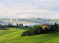 Fototapeta papr 254 x 184, 23337354 - Toskana Huegel  - Tuscany hills 07