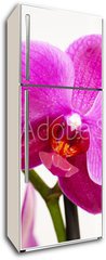 Samolepka na lednici flie 80 x 200, 23400240 - orchid