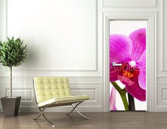 Samolepka na dvee flie 90 x 220, 23400240 - orchid