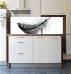 Fototapeta do kuchyn flie 180 x 60, 234006556 - Single black floating feather on white background.