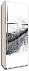 Samolepka na lednici flie 80 x 200, 234006556 - Single black floating feather on white background.