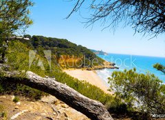 Fototapeta papr 254 x 184, 23411504 - Cala Fonda beach, Tarragona, Spain