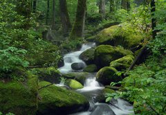 Samolepka flie 145 x 100, 23470543 - Mossy waterfall - Mossy vodopd