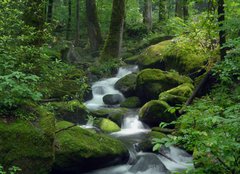 Fototapeta pltno 240 x 174, 23470543 - Mossy waterfall