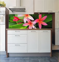 Fototapeta do kuchyn flie 180 x 60, 23491751 - Plumeria flowers