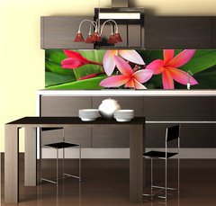 Fototapeta do kuchyn flie 260 x 60, 23491751 - Plumeria flowers