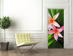 Samolepka na dvee flie 90 x 220, 23491751 - Plumeria flowers