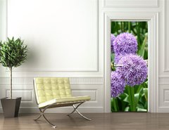 Samolepka na dvee flie 90 x 220  Giant Onion (Allium Giganteum) blooming in a garden, 90 x 220 cm