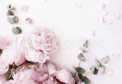 Fototapeta pltno 174 x 120, 235909172 - Beautiful, tender fresh blossoming aromatic pink Peony flowers and eucalyptus branches on the white background, top view, flat lay