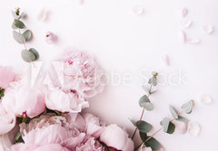 Fototapeta papr 184 x 128, 235909172 - Beautiful, tender fresh blossoming aromatic pink Peony flowers and eucalyptus branches on the white background, top view, flat lay