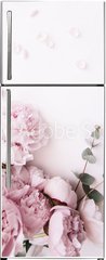 Samolepka na lednici flie 80 x 200, 235909172 - Beautiful, tender fresh blossoming aromatic pink Peony flowers and eucalyptus branches on the white background, top view, flat lay