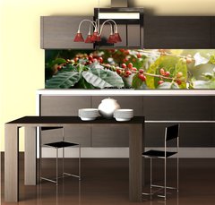 Fototapeta do kuchyn flie 260 x 60, 235909488 - Fresh coffee beans on bunch trees.