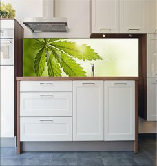 Fototapeta do kuchyn flie 180 x 60, 23639957 - Cannabis leaf - List konop