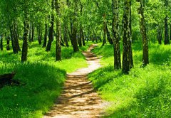 Samolepka flie 145 x 100  green forest, 145 x 100 cm