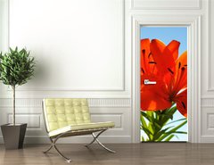 Samolepka na dvee flie 90 x 220  two lilies, 90 x 220 cm