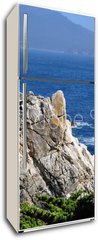 Samolepka na lednici flie 80 x 200, 23885675 - The Lone Cypress in Pebble Beach, 17 Mile Drive, Monterey